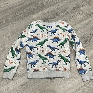 Dinosaur Sweatshirt